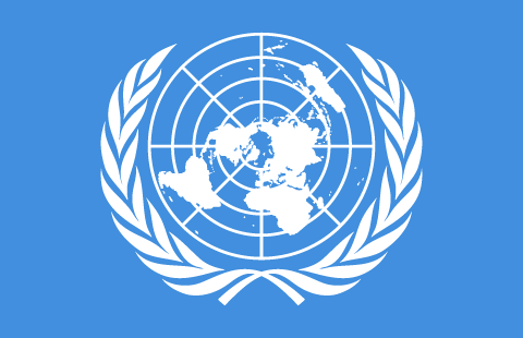 The UN flag emblem