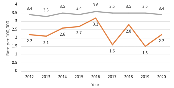 A chart showing New Hampshire fatal work injuries in rate per 100,000, 2012-2000