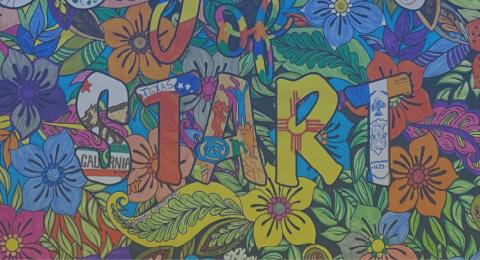 a coloring book style artwork with tropical flowers in the background and the words 35 Years of START over the top.