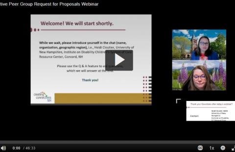 Screenshot of the RFP for APGs webinar