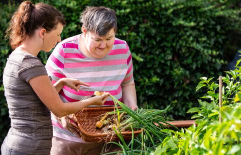 one woman showing another woman with an intellectual disability how to harvest onions from a garden