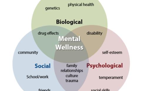 A venn diagram of the biopsychosocial approach with three circles representing the three aspects of mental wellness: biological, social, and psychological