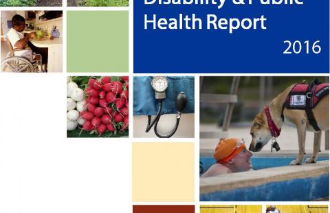 cover of 2016 NH DPH Report