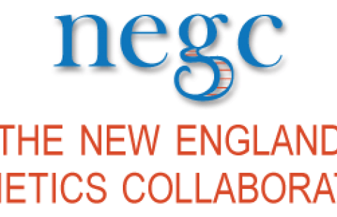 NEGC logo