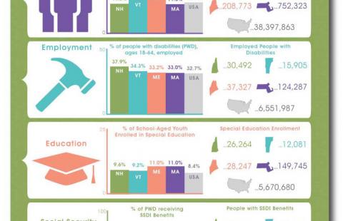 To the point: an introduction to disability in the granite state infographic