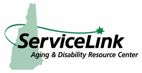 Service Link Logo 