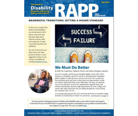 Cover of the Spring Disability RAPP Sheet