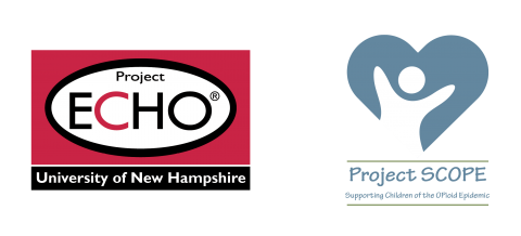 Project Echo and Project Scope logos