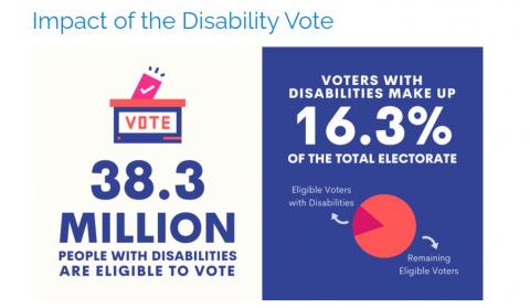 Impact of the disability vote