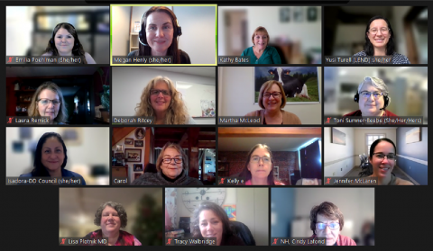 screenshot from a DHP Disability and Health Advisory Work Group (DHAWG) zoom meeting