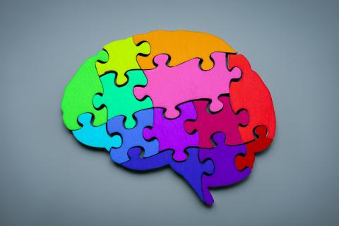 A puzzle in the shape of a brain with different colored pieces.
