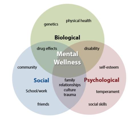 A venn diagram of the biopsychosocial approach with three circles representing the three aspects of mental wellness: biological, social, and psychological